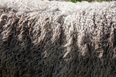 Sofas aus Wolle: Die Vorzüge und Besonderheiten von Wollsofas