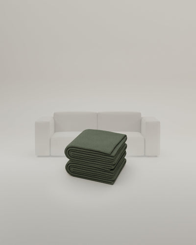 Turtle-Linea