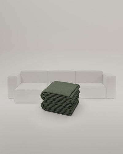 Turtle-Linea